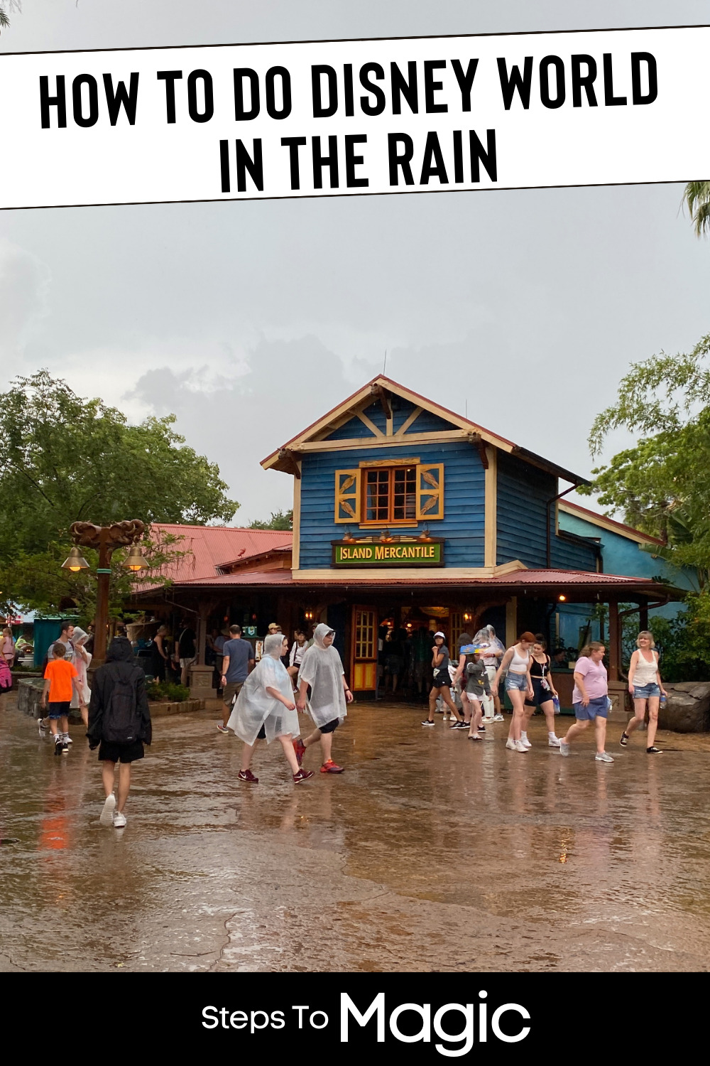 How To Do Disney World in the Rain